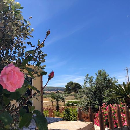 La Villa Dei Girasoli 库斯托纳奇 外观 照片
