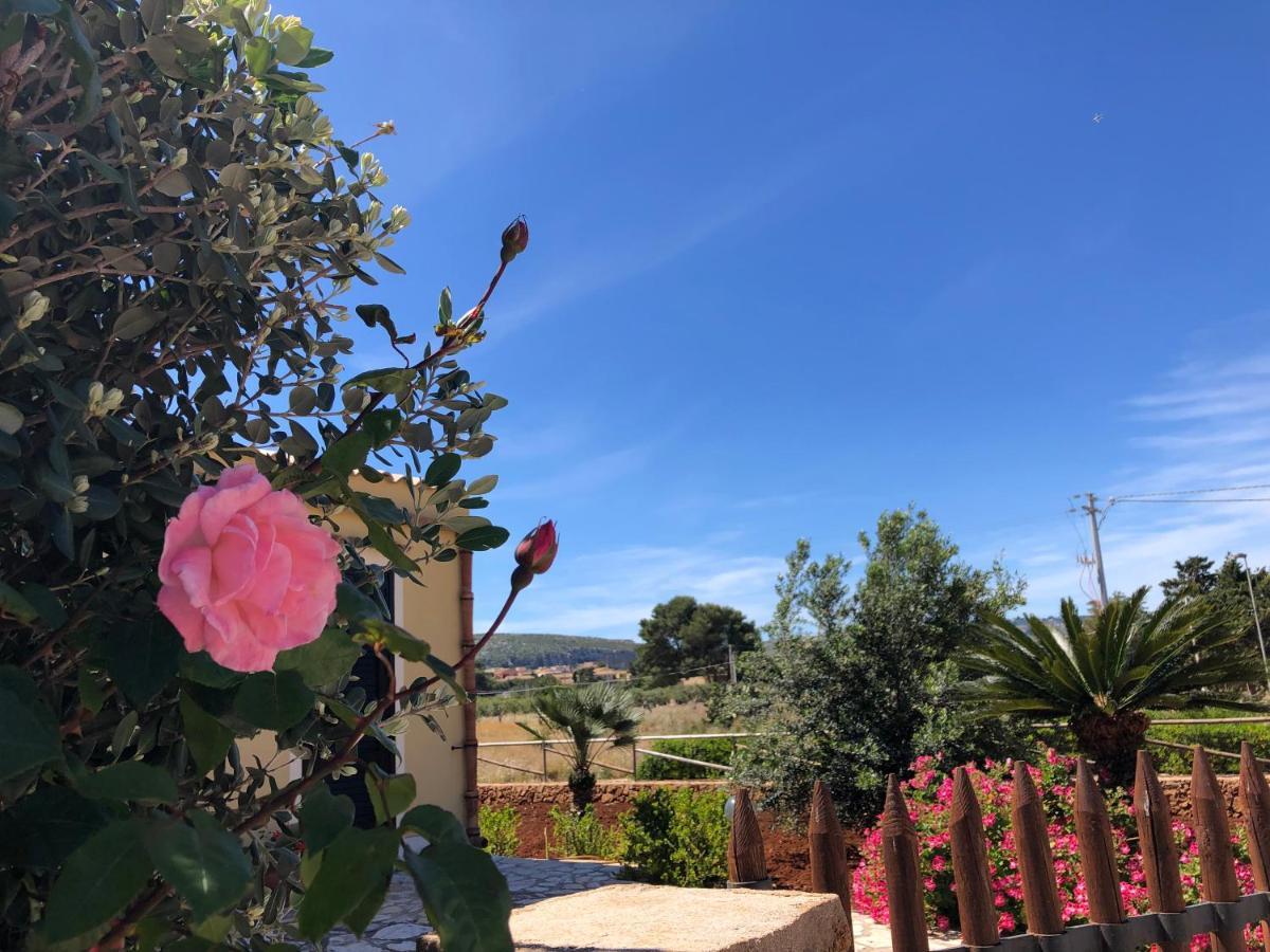 La Villa Dei Girasoli 库斯托纳奇 外观 照片